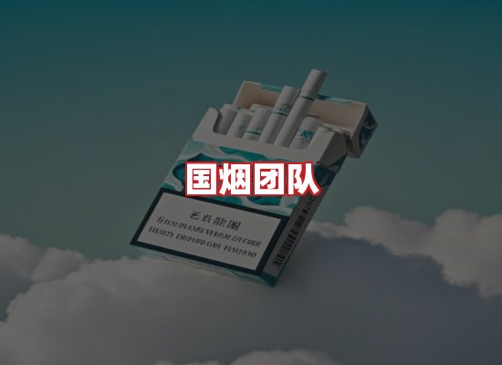 国烟团队